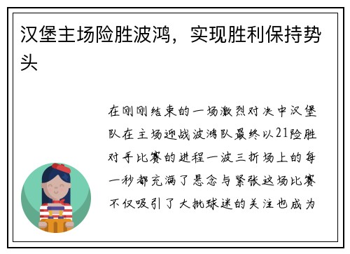 汉堡主场险胜波鸿，实现胜利保持势头